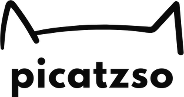 Picatzso